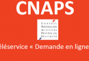 Lancement de la plateforme dématérialisée du CNAPS pour les demandes de carte professionnelle